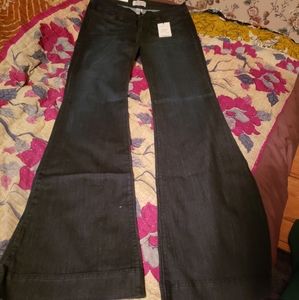 Judy Blue Flare Leg Jean Size 11/30